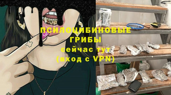 молекула духа Алзамай