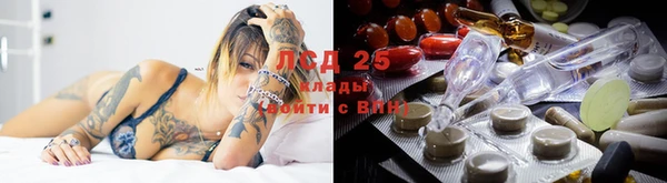 молекула духа Алзамай