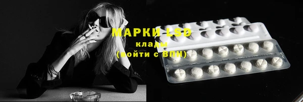 ПСИЛОЦИБИНОВЫЕ ГРИБЫ Алексеевка