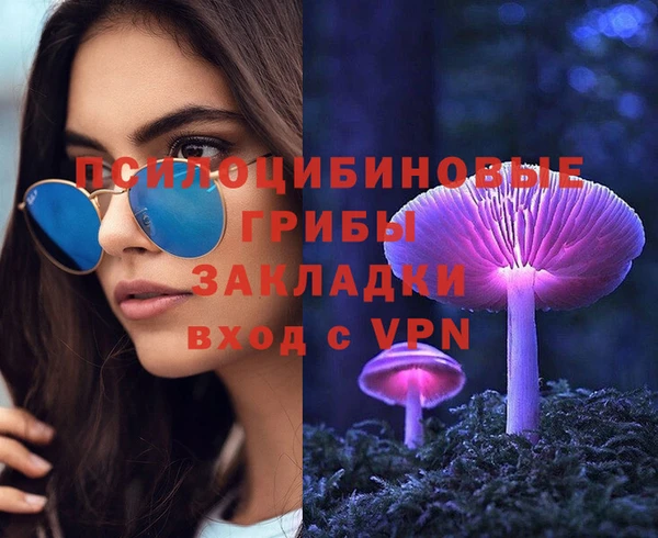 ПСИЛОЦИБИНОВЫЕ ГРИБЫ Алексеевка