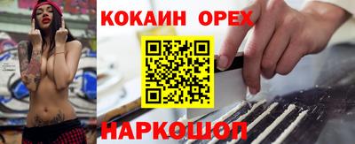 шишки Тверь