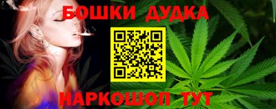 шишки Тверь