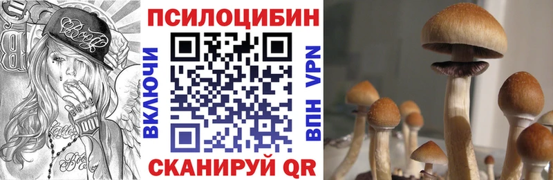 Псилоцибиновые грибы прущие грибы  Темрюк 