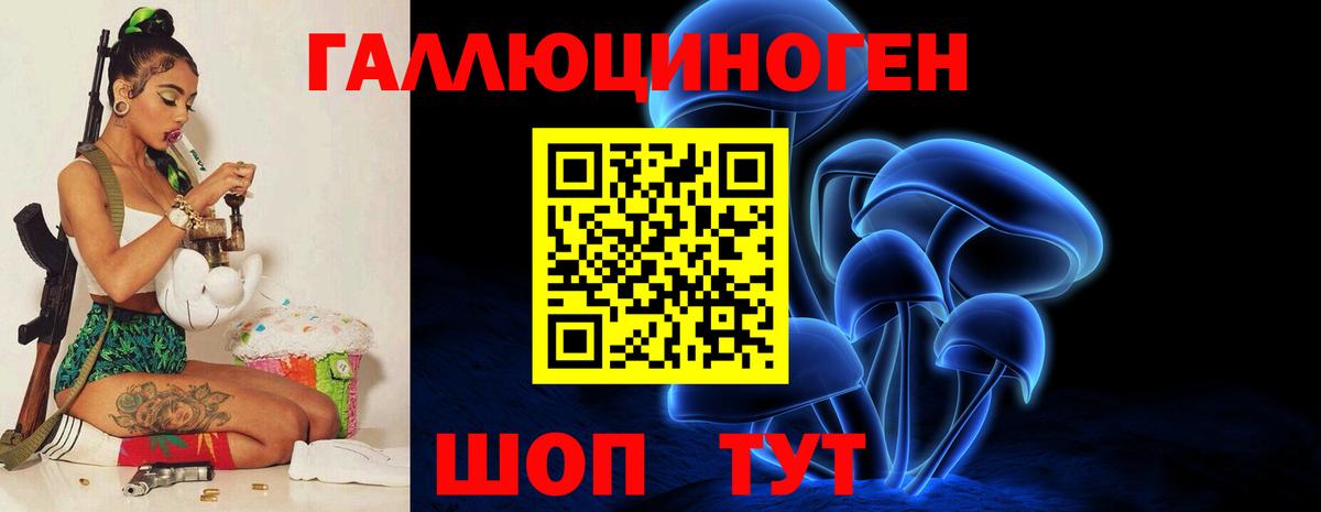 Темрюк  Галлюциногенные грибы Psilocybine cubensis  Вход с VPN 