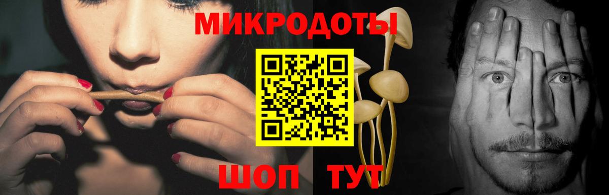Псилоцибиновые грибы GOLDEN TEACHER Темрюк